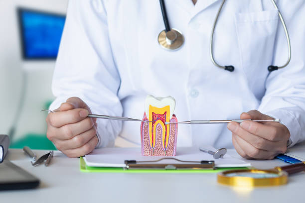Best Dentist for Dental Trauma  in Loveland Park, OH